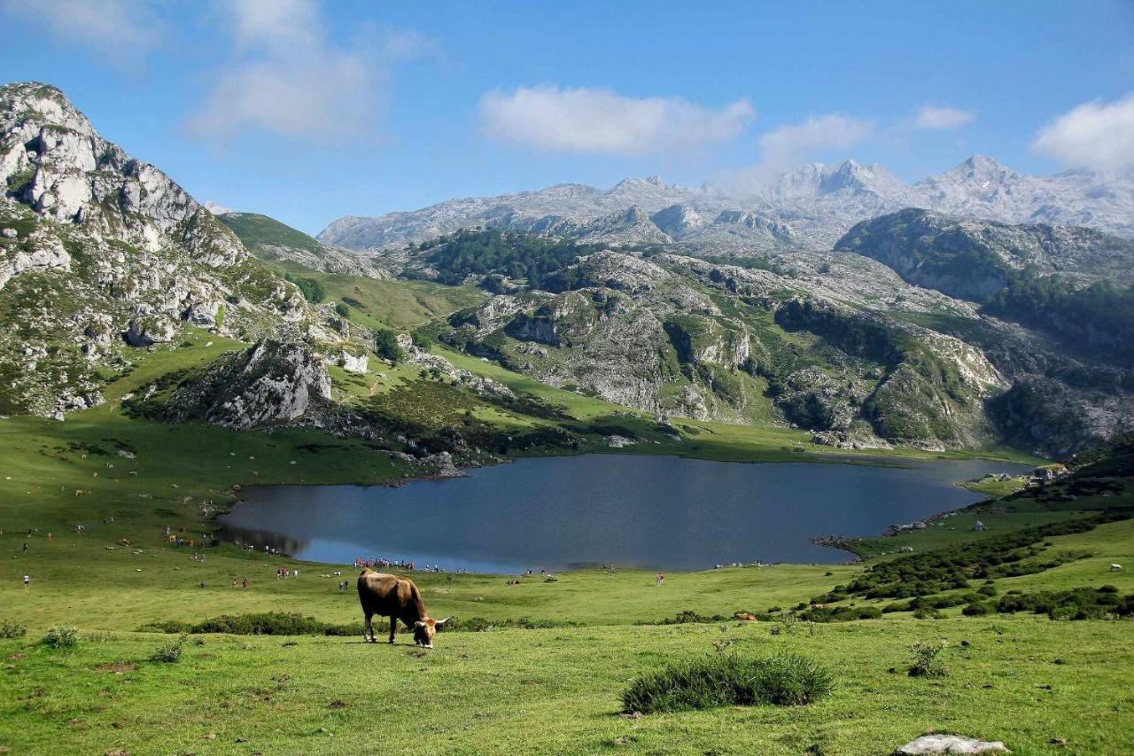 Casa Noval Zona Rural En El Centro De Asturias Lägenhet Bimenes Exteriör bild