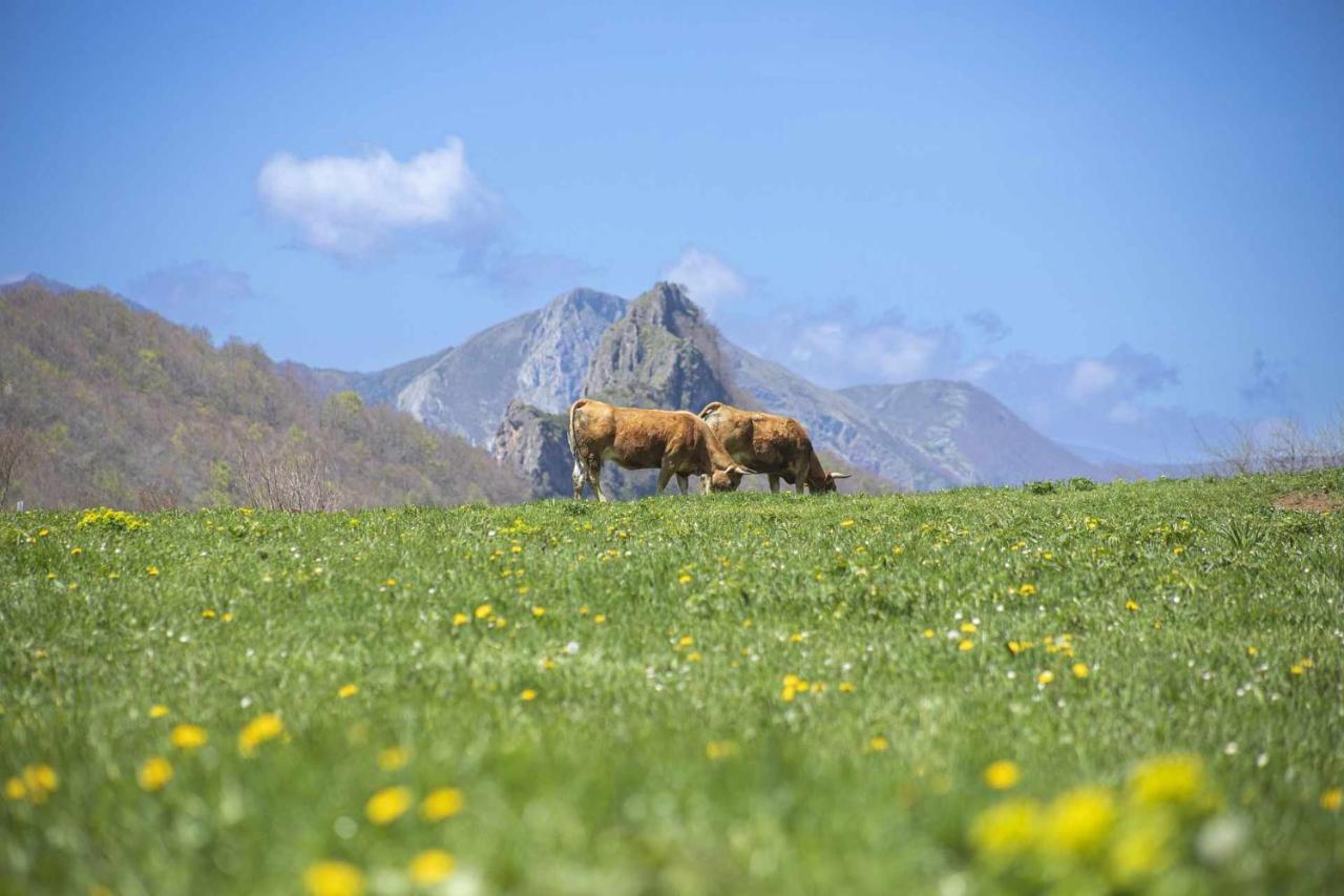 Casa Noval Zona Rural En El Centro De Asturias Lägenhet Bimenes Exteriör bild